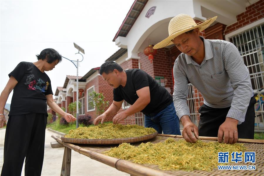 （新华全媒头条·图文互动）（6）幕阜山“搬穷”记