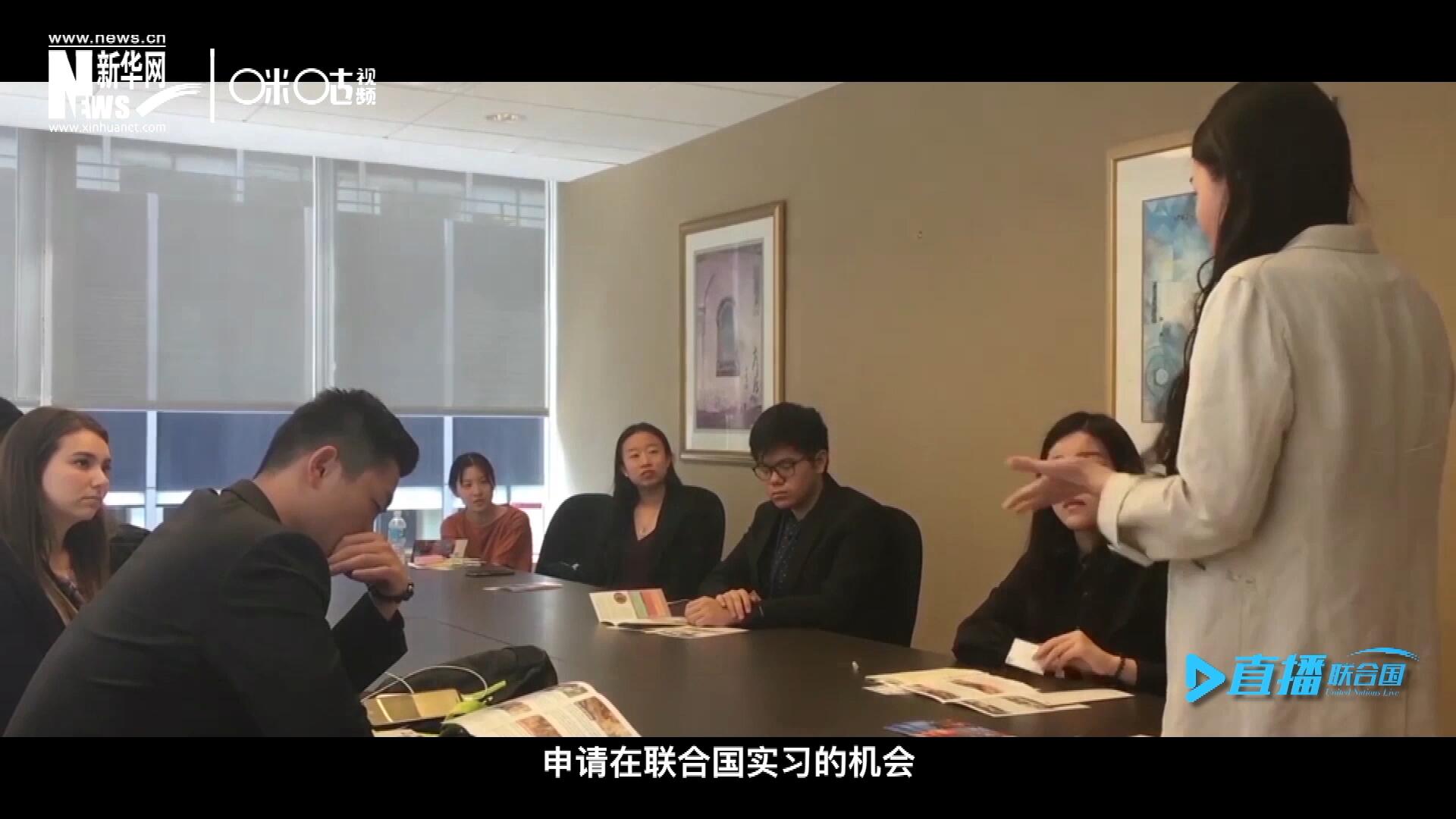 每年联合国的实习生招聘都会面向全球开放，经过长达数月的严格筛选面试，被选中的优秀青年，就成为联合国不同组织机构中的一员。