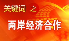 张平：大陆到台湾投资不尽如人意 希望台湾更解放一些